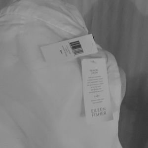 Eileen Fisher Slacks